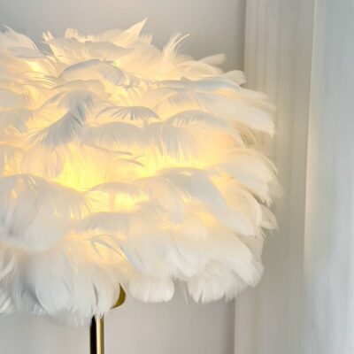 Feather Lamp Angle 3